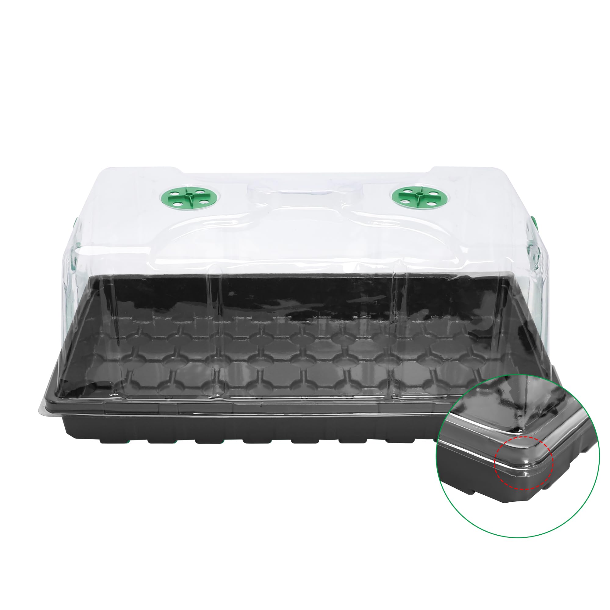 MIXC in greenhouse tray setup for efficient propagation and organization