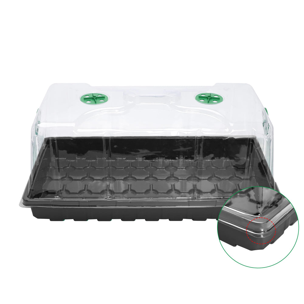 MIXC in greenhouse tray setup for efficient propagation and organization