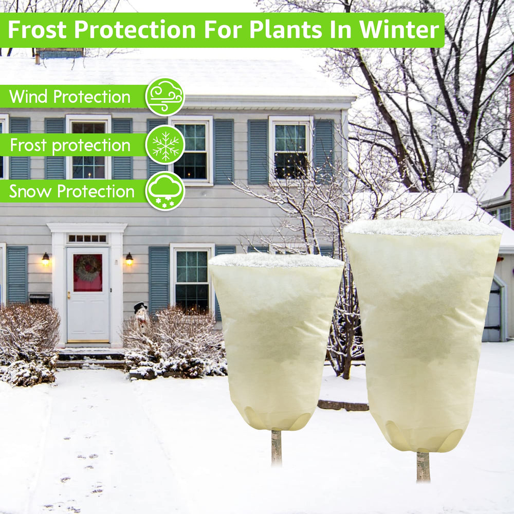 MIXC two sizes side-by-side for choosing proper plant fit