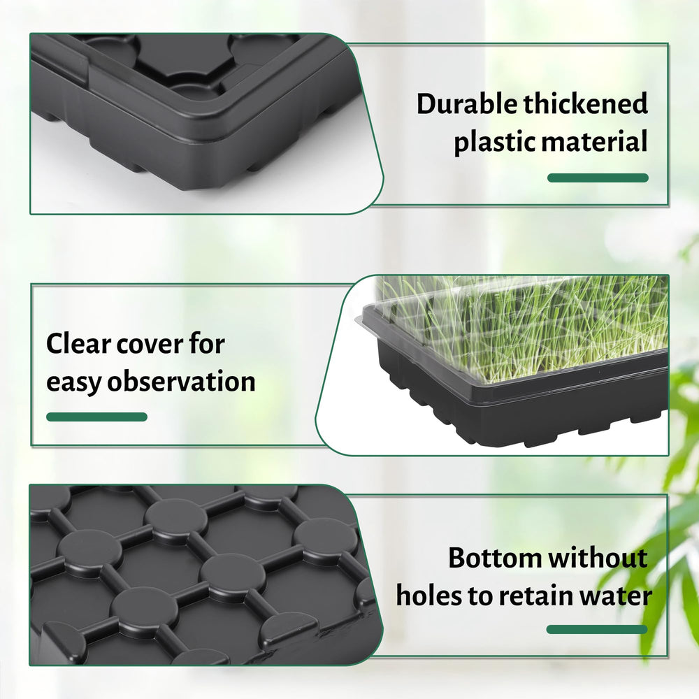 MIXC trays in use with seedlings to show safe, moist environment for faster sprouting