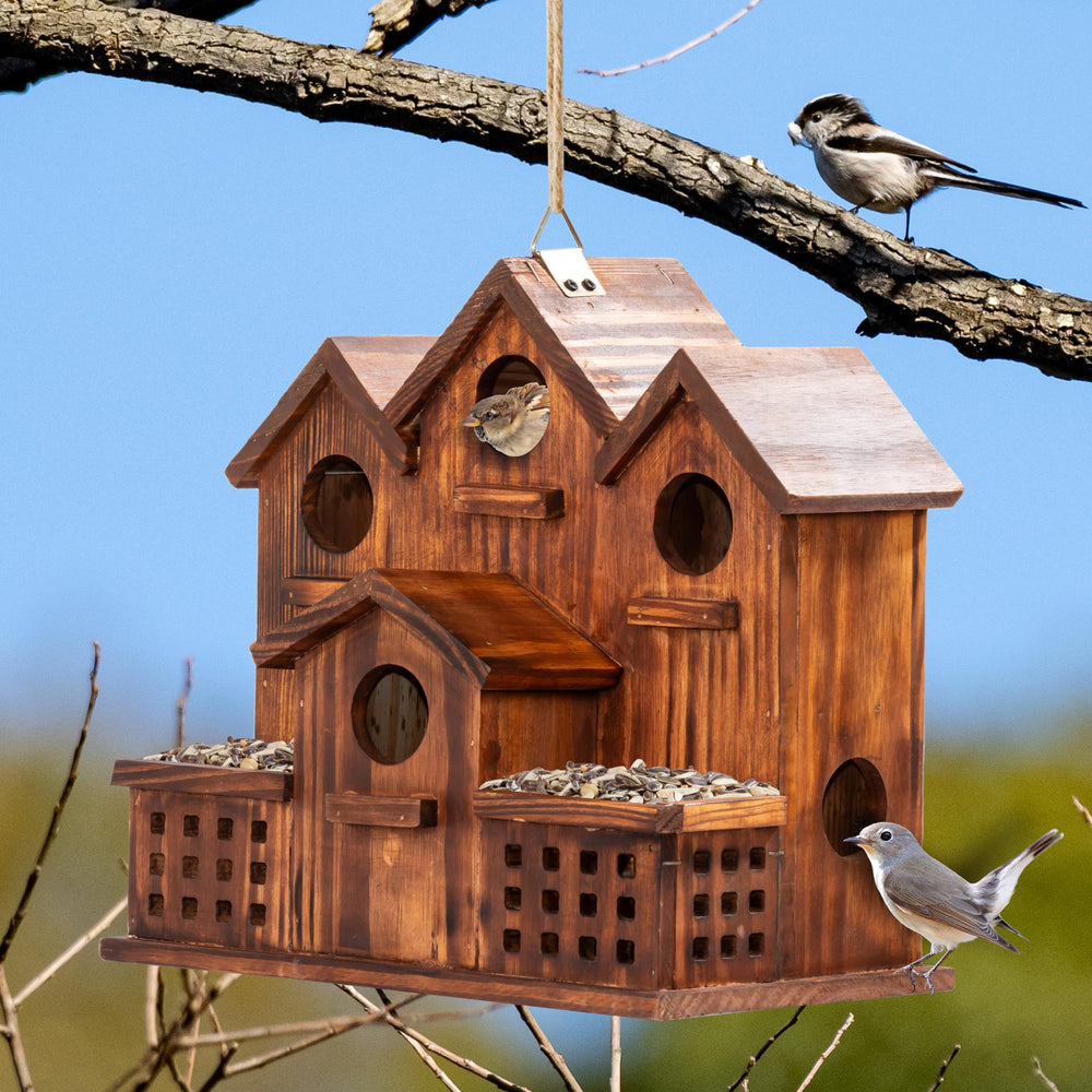 MIXUMON dual front feeders filled with seed for convenient feeding