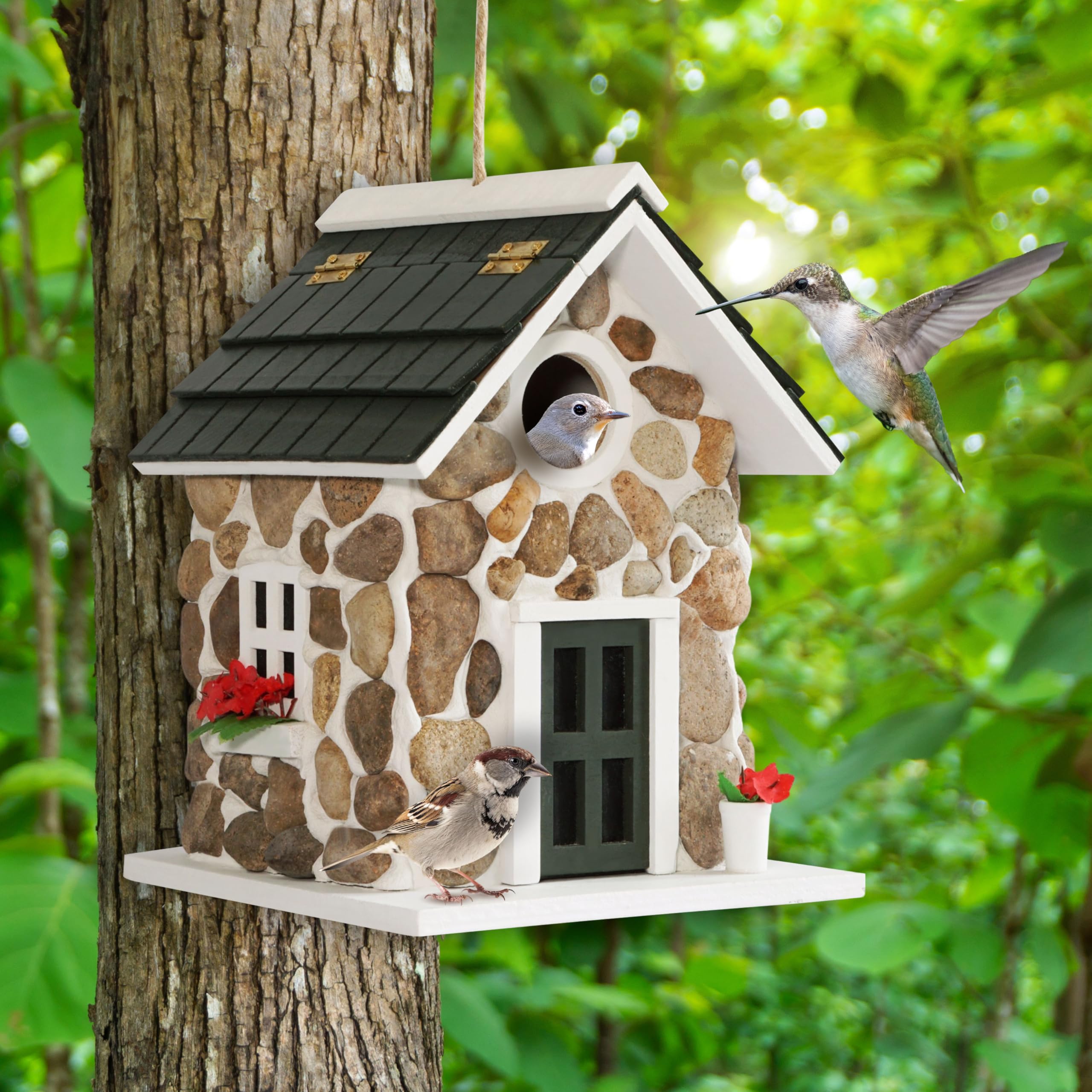 MIXUMON packaging and gift presentation ideal for bird lover presents