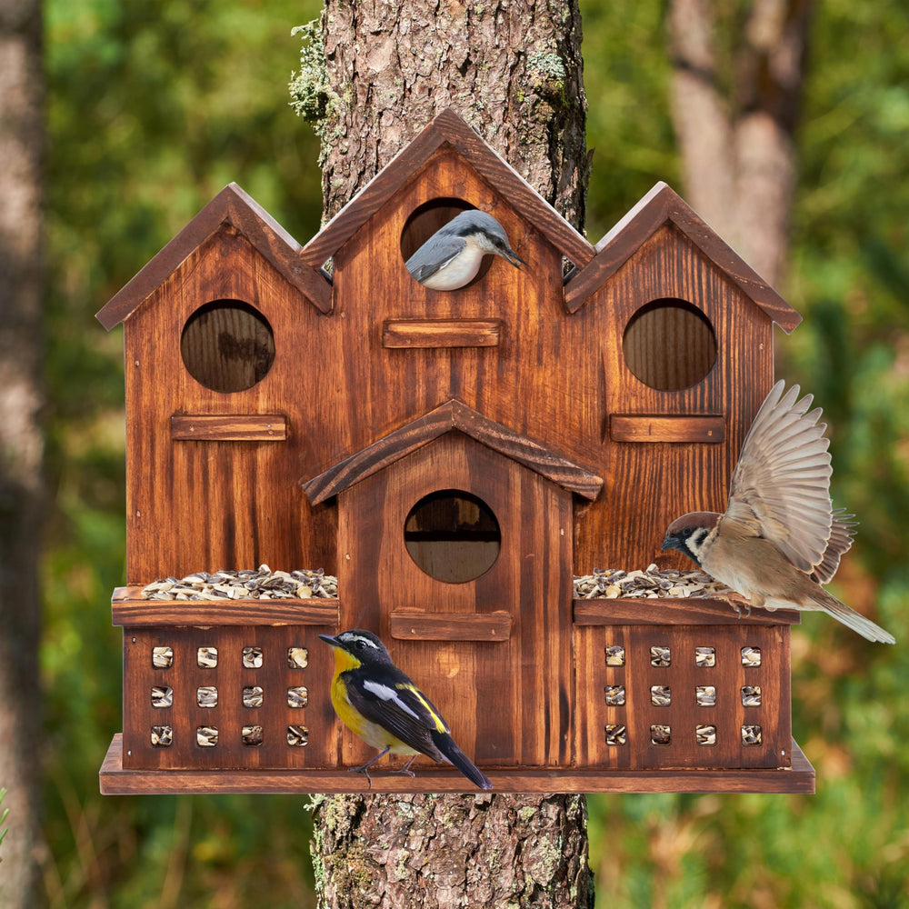 MIXUMON side rooms detail displaying separate chambers for multiple nests