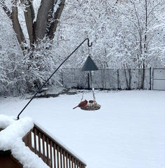 MIXXIDEA mounted on deck rail in outdoor setting showing tidy deck benefit