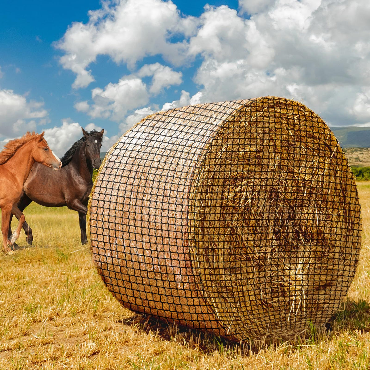 MIYABALA front view of packaged 5x5 hay net showing product and benefits