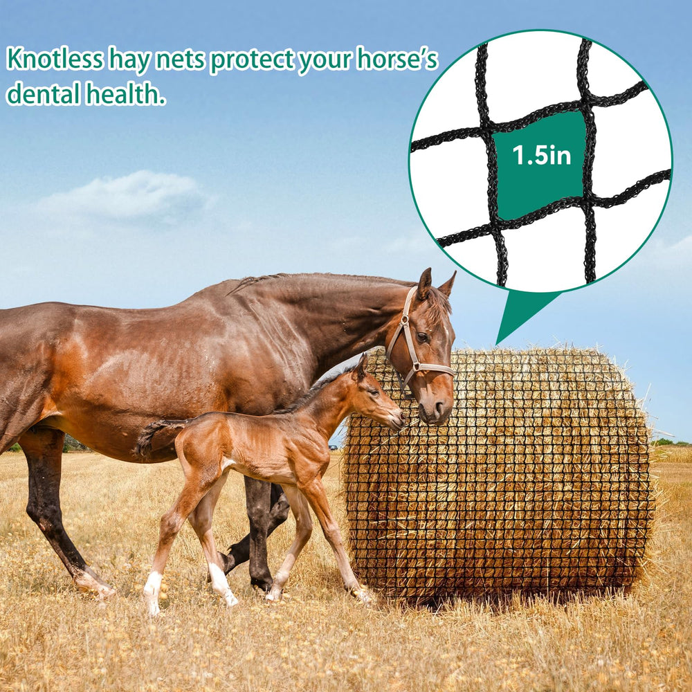 MIYABALA horse eating through net promoting slow, healthier grazing
