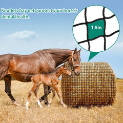 MIYABALA horse eating through net promoting slow, healthier grazing