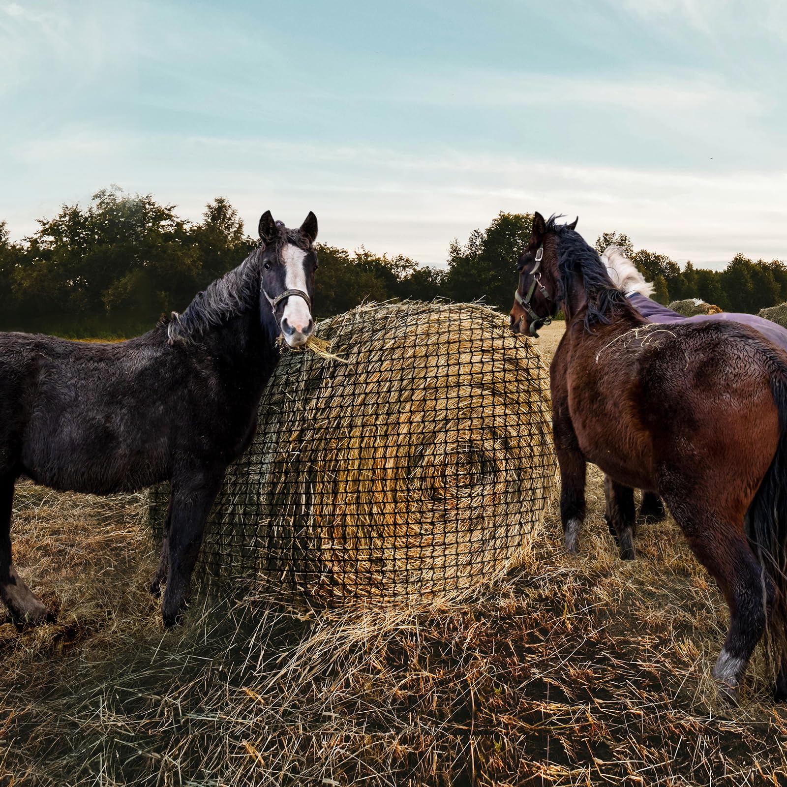 MIYABALA hay net in a stable setting increasing feeding efficiency