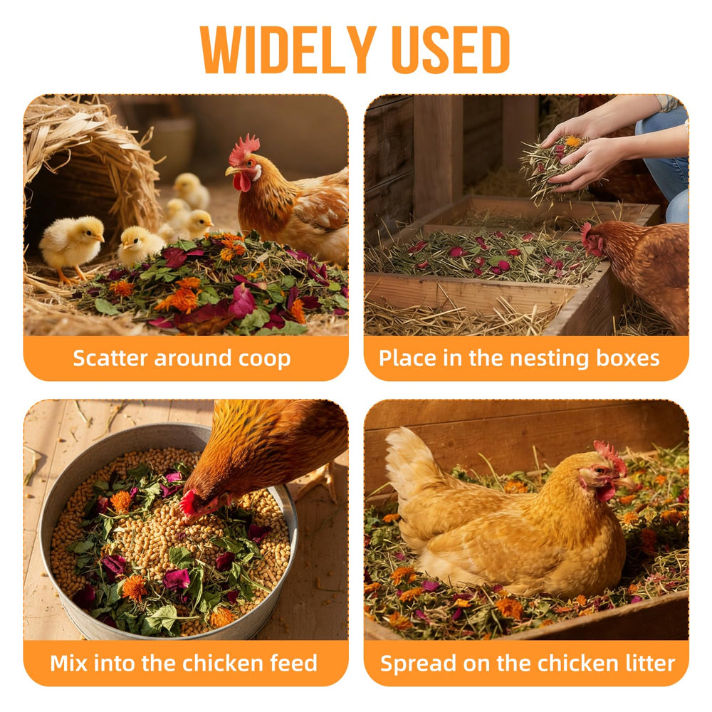 MIYAO in a coop lifestyle shot with chickens and nesting boxes showing practical everyday use
