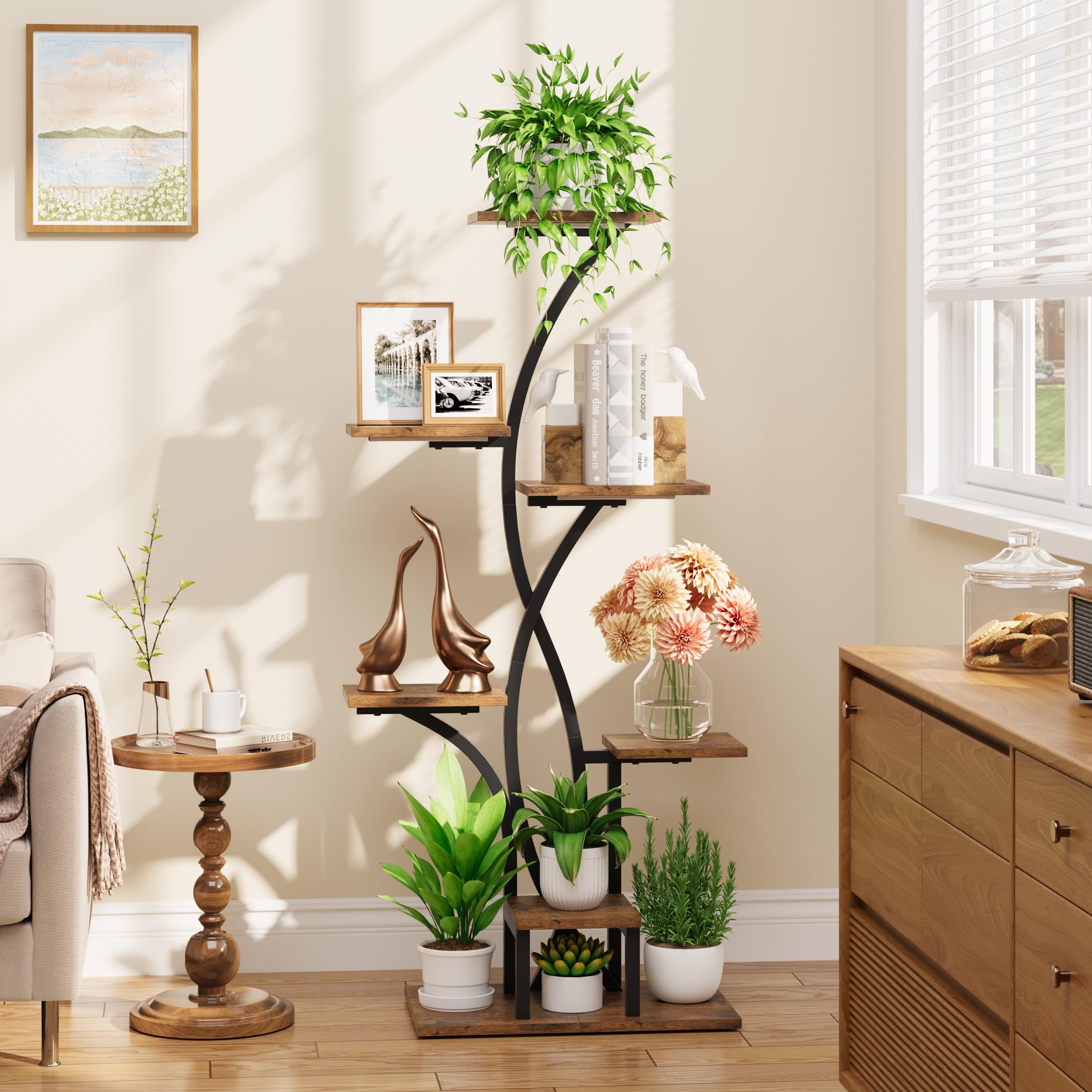 MJOMKN scale image with plants showing height and capacity for multiple medium pots