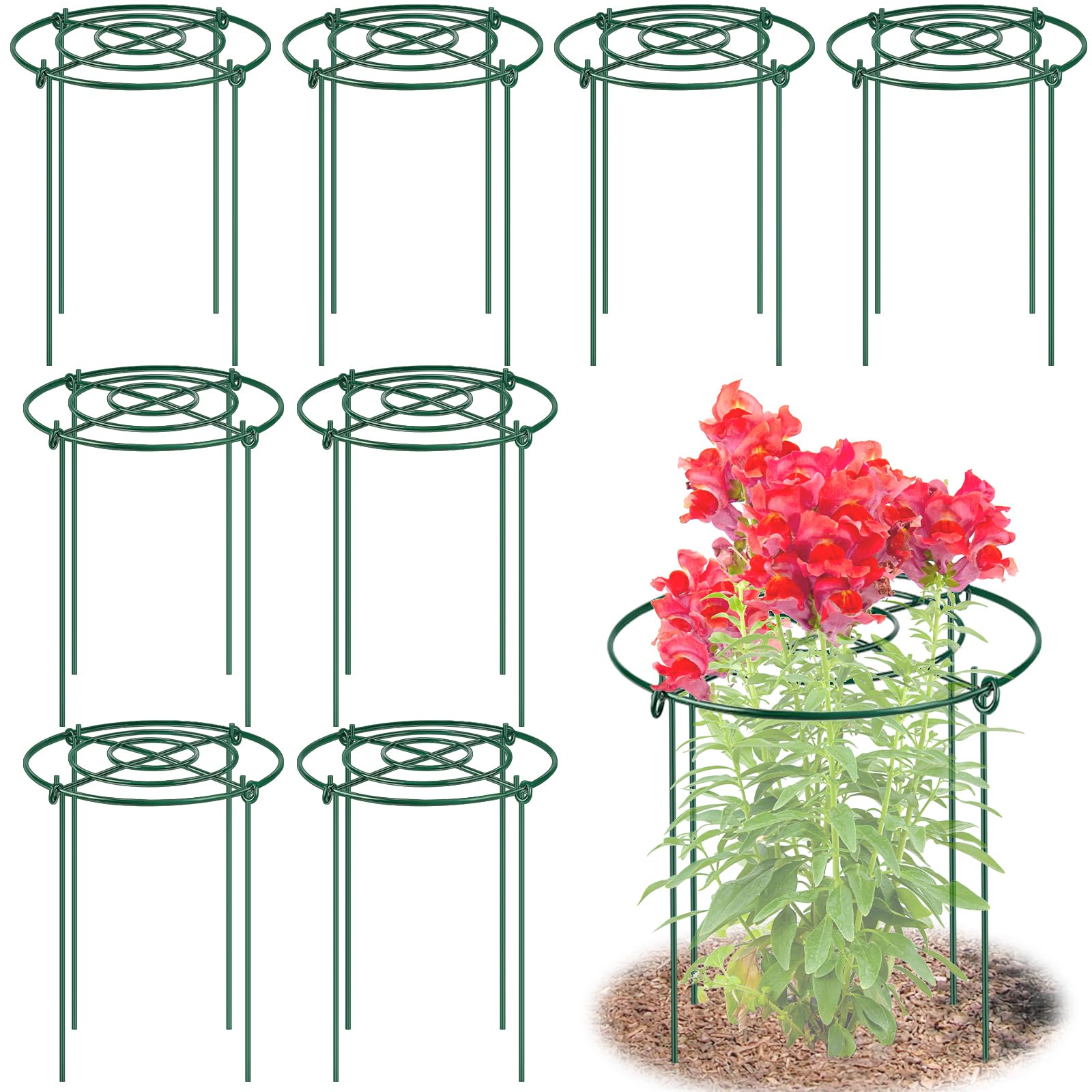 MJZ front view of eight peony cages showing organized pack and value