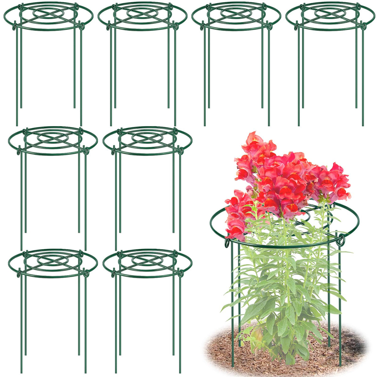 MJZ front view of eight peony cages showing organized pack and value