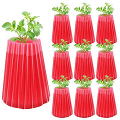 MJZ front packaging showing 10-pack protectors and included components for early planting