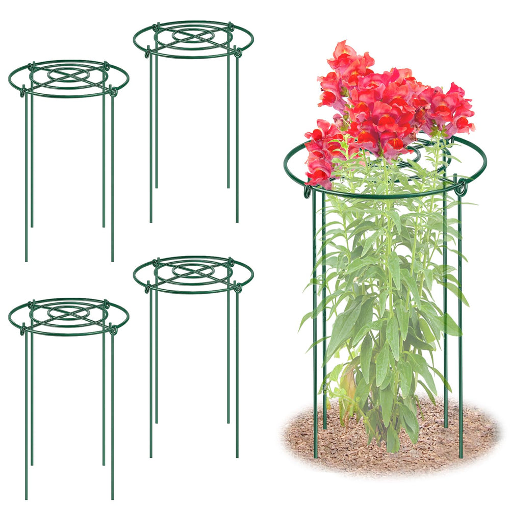 MJZ front view of assembled peony cage showing sturdy support and tidy plants
