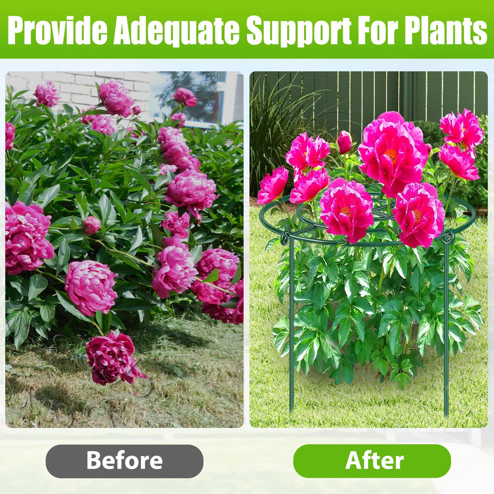 MJZ cages installed around blooming peonies keeping stems upright and tidy