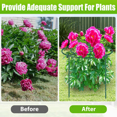 MJZ cages installed around blooming peonies keeping stems upright and tidy