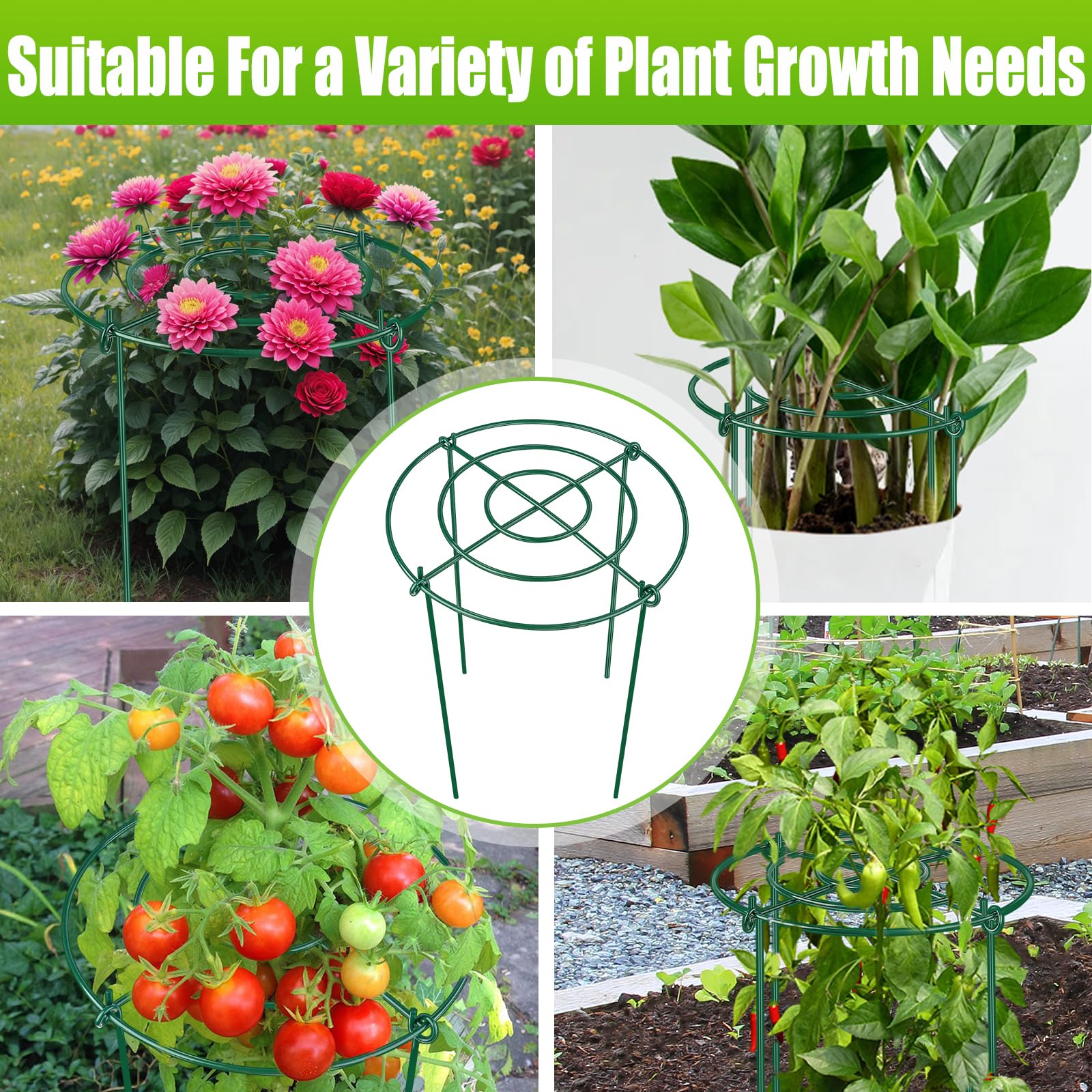 MJZ gardener placing a cage around a peony showing easy assembly benefit