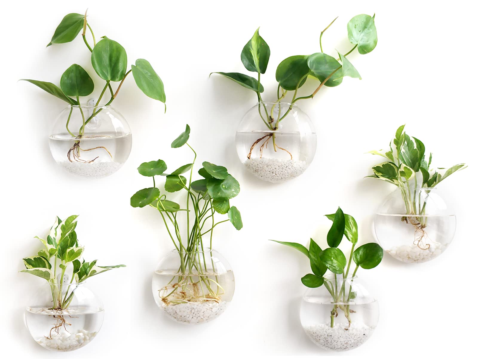 Mkono front view of six hanging glass planters showing modern display benefit