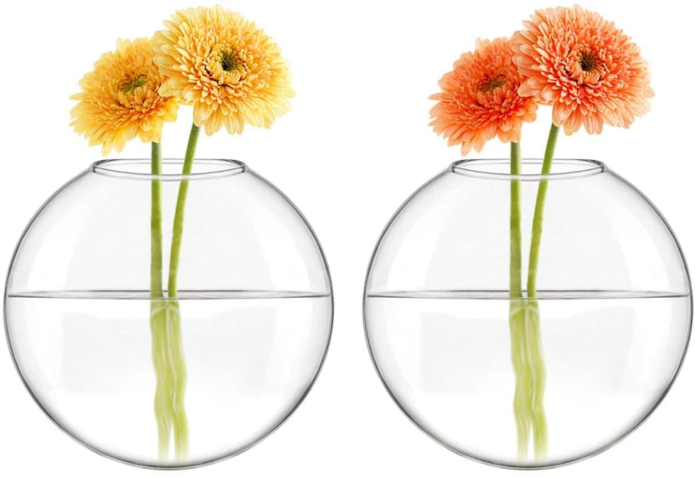 Mkono propagation vase with visible roots showing easy monitoring benefit