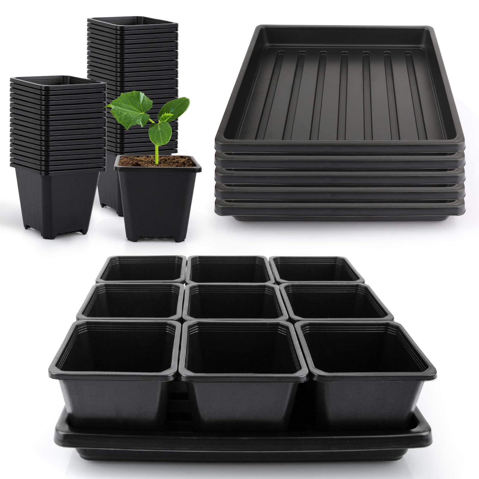 Mlhezy front view of complete seed starter kit showing pots and trays for organized germination