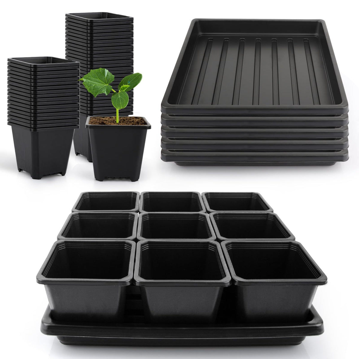 Mlhezy front view of complete seed starter kit showing pots and trays for organized germination