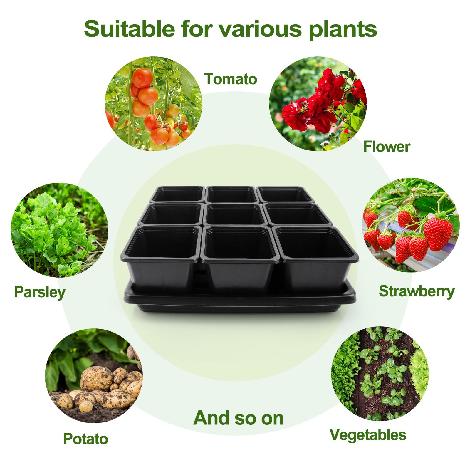 Mlhezy stacked trays demonstrating compact storage and durable construction