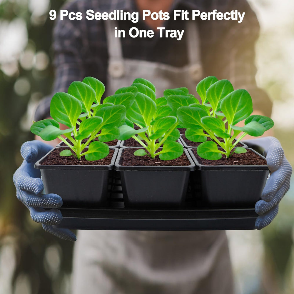 Mlhezy detail of pots snugly fitted in tray grid for secure transport and watering