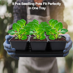 Mlhezy detail of pots snugly fitted in tray grid for secure transport and watering