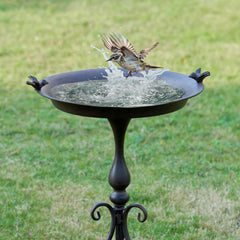 MNRYLKB front view of full bird bath showing stable stand and wide basin for attracting birds