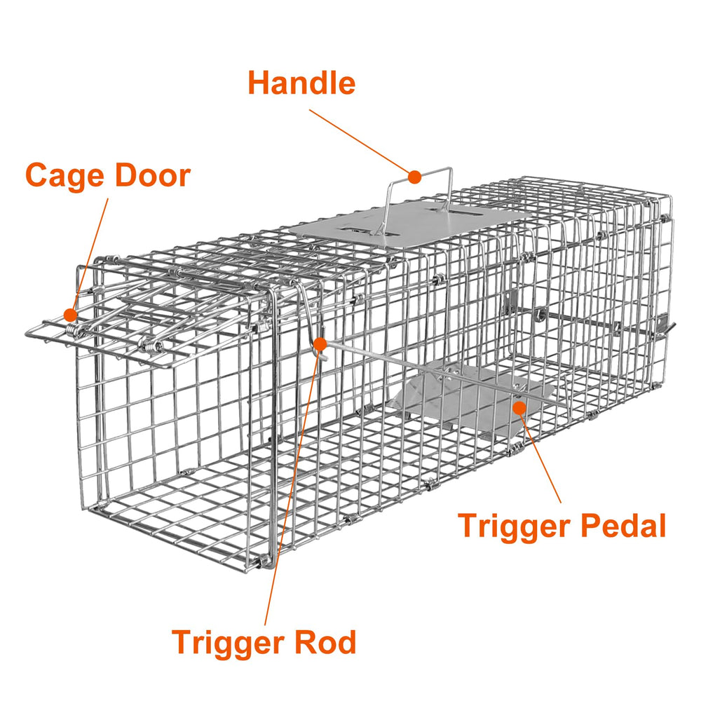 Moclever animal safely inside cage showing humane capture and ventilation benefit