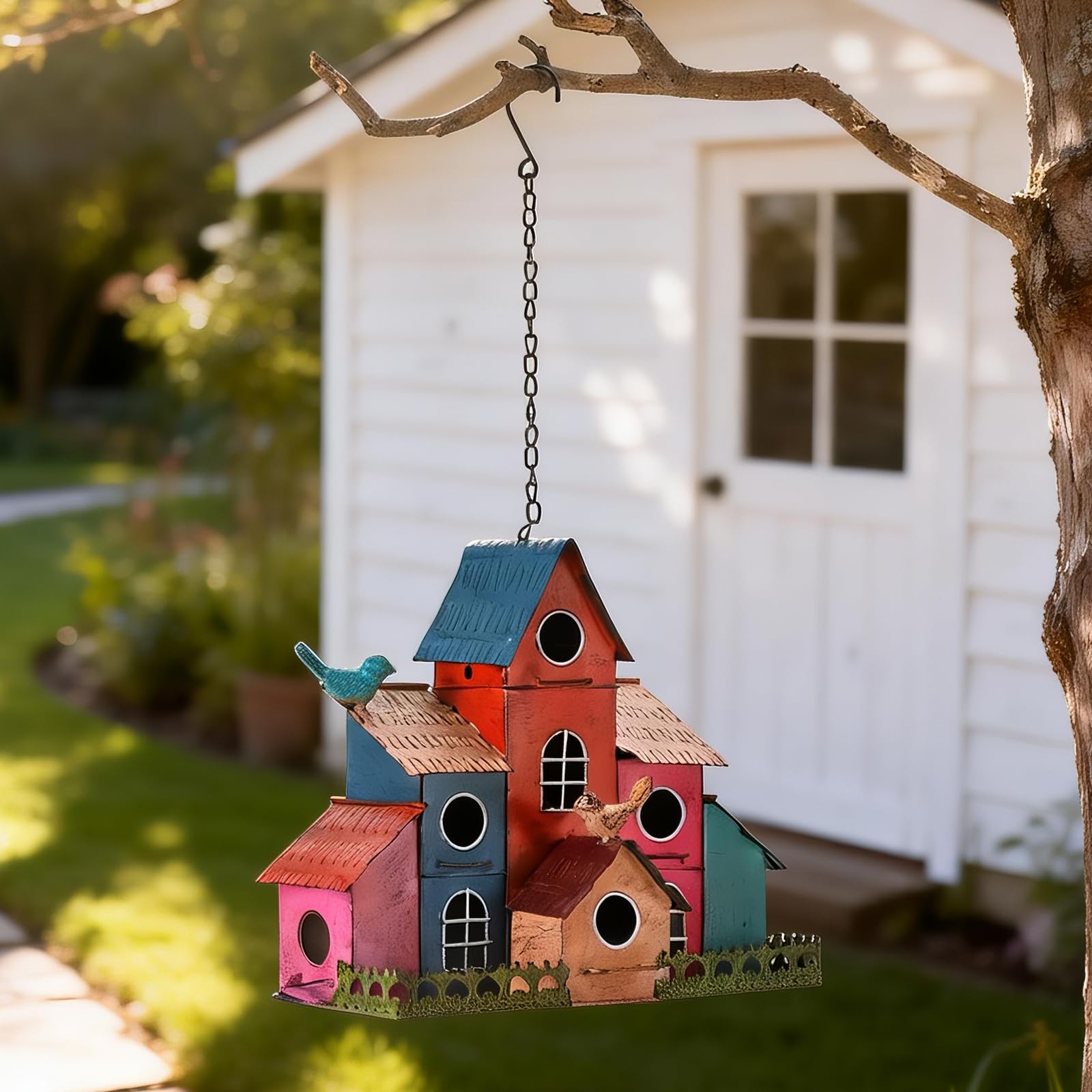 MOCOME in a backyard garden scene attracts small songbirds
