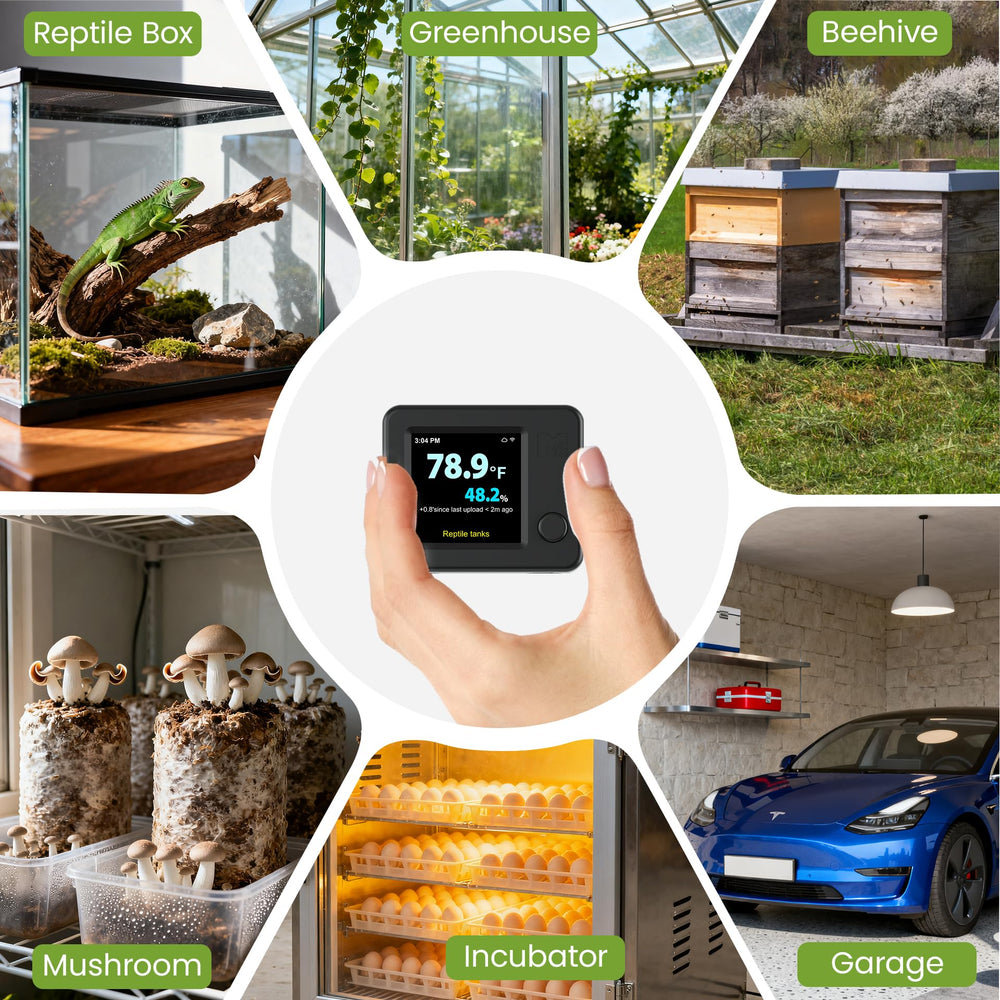 MOCREO installed beside a terrarium in a home setup for easy use