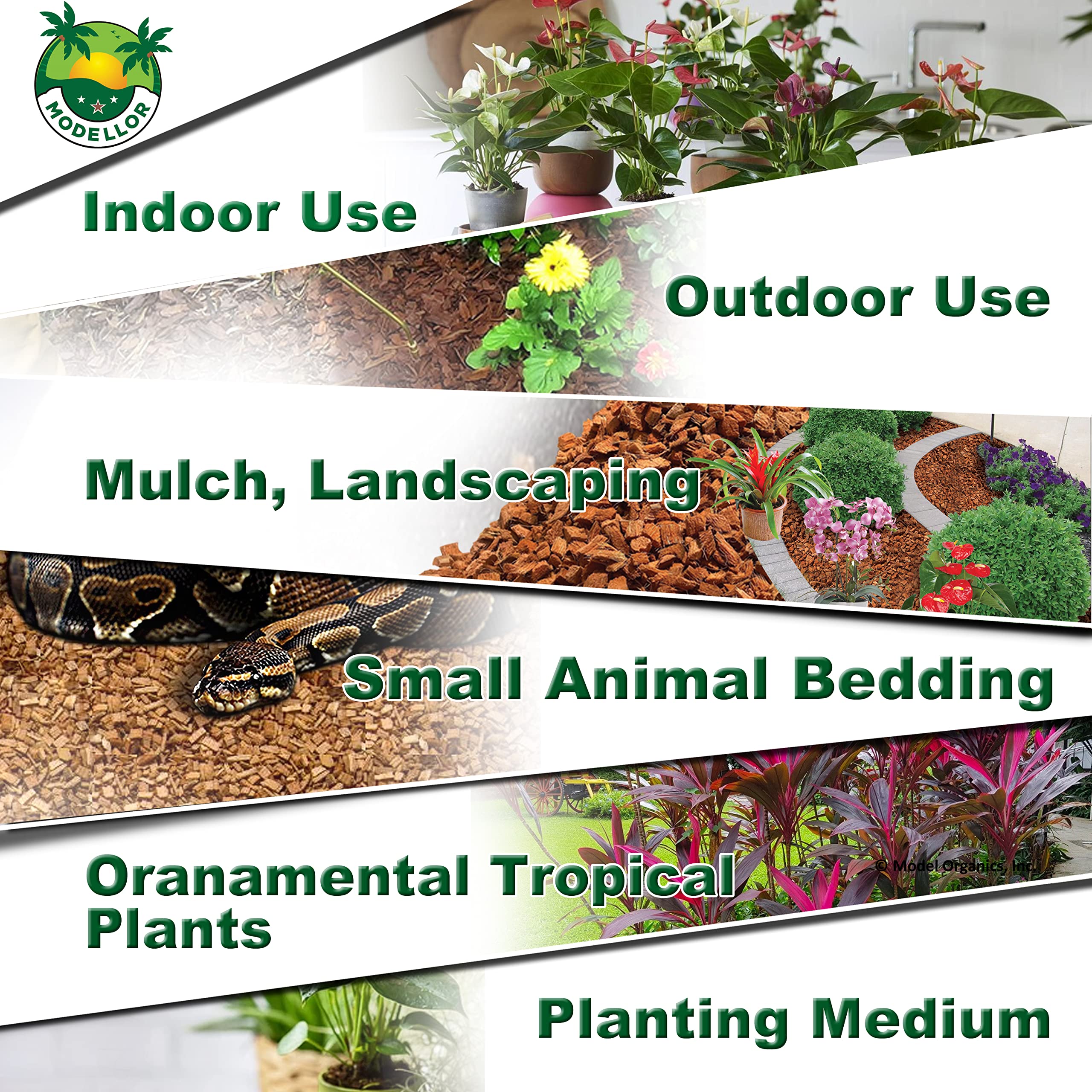 MODELLOR used as orchid potting blend showing better root breathability