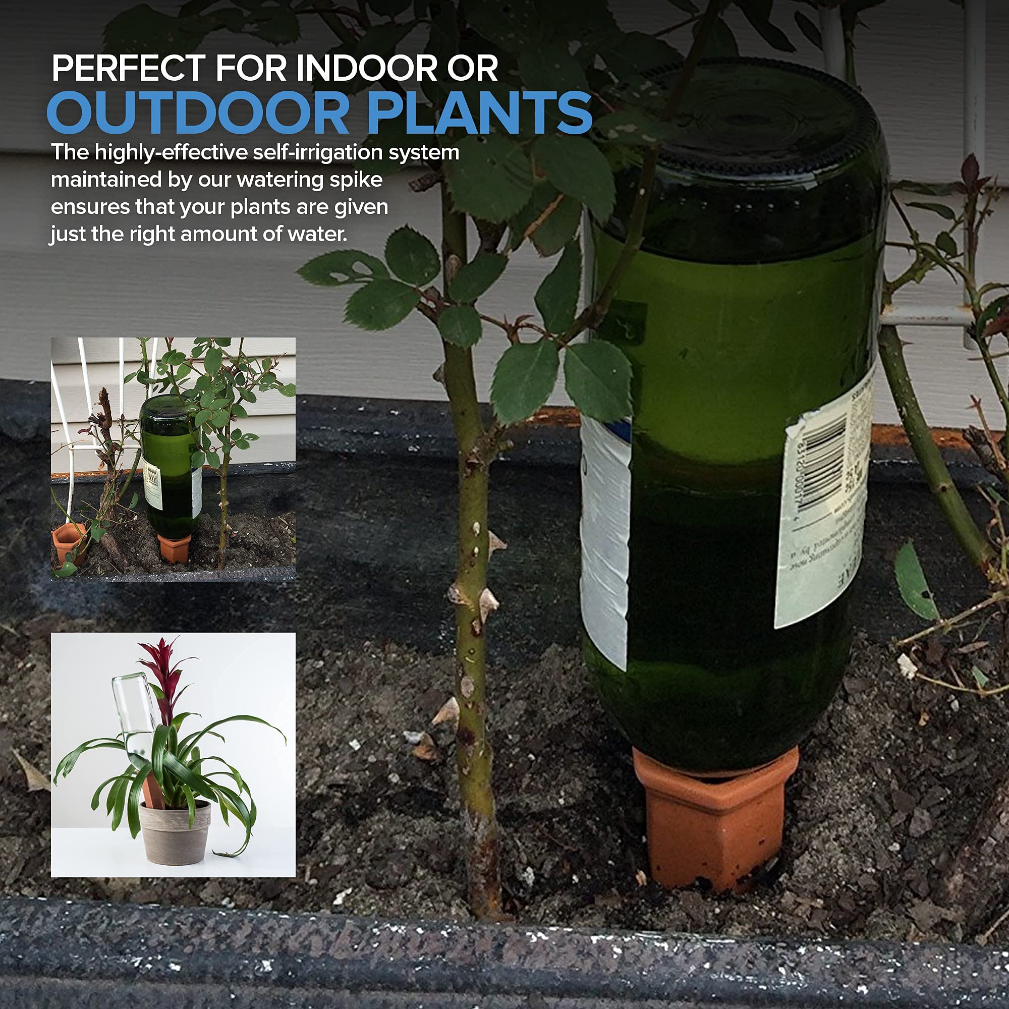 Modern Innovations product label and measurements highlighting capacity and fit
