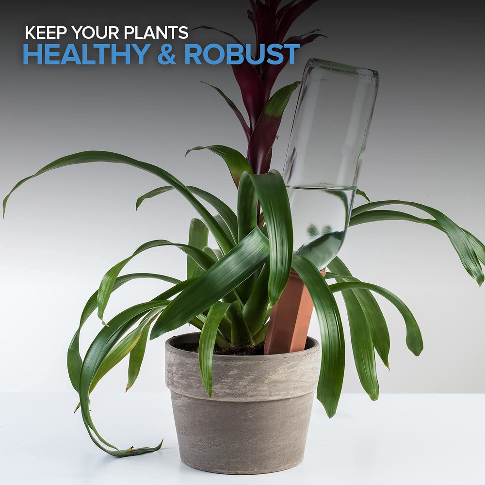 Modern Innovations spikes in outdoor planter offering vacation watering solution