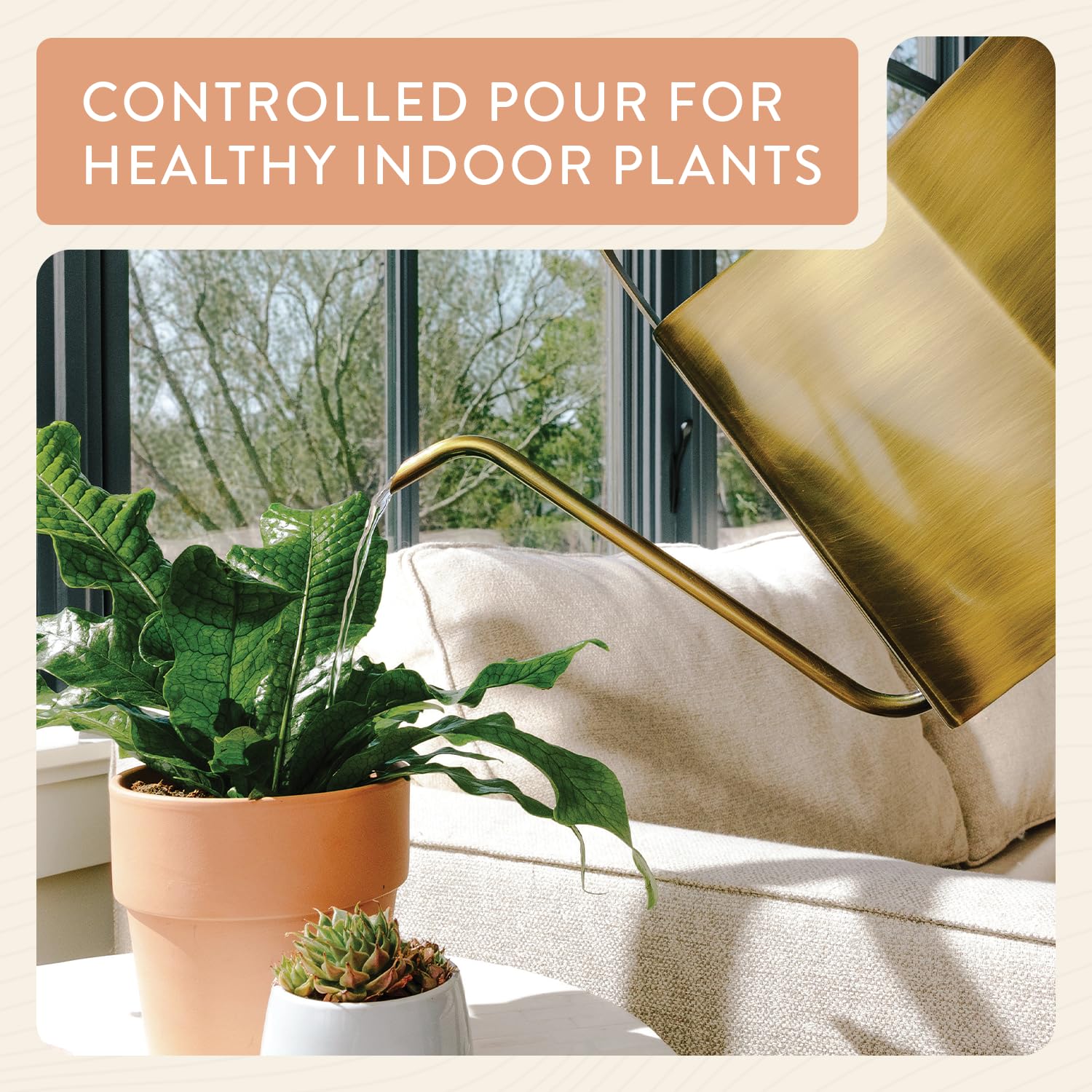 Modern Sprout brass watering can next to houseplants illustrating targeted root watering