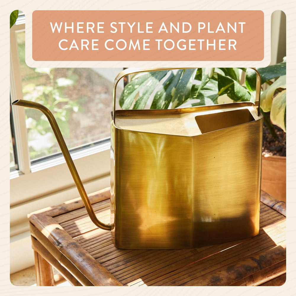 Modern Sprout brass watering can styled on shelf as decorative functional accent