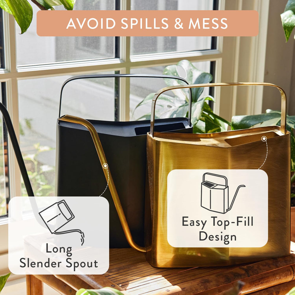 Modern Sprout brass watering can with box showing included unit and dimensions