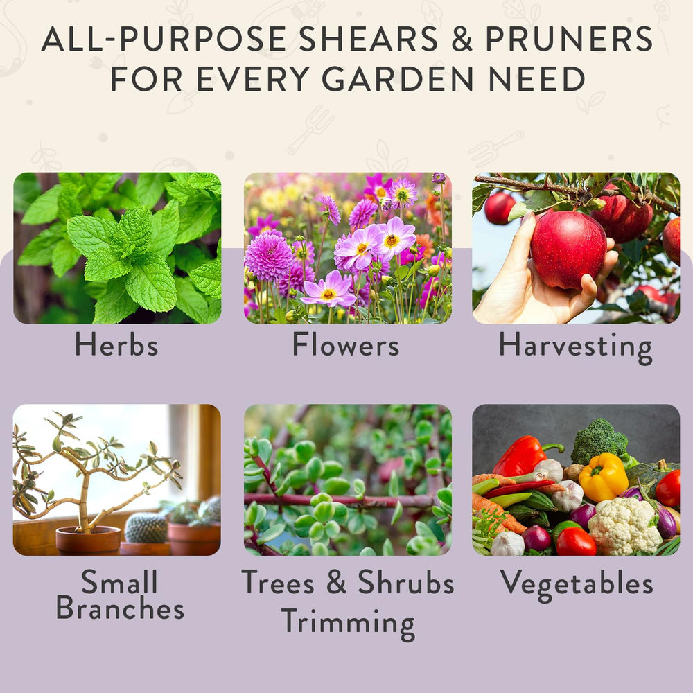 Modern Sprout tools arranged on a bench highlighting garden-ready convenience