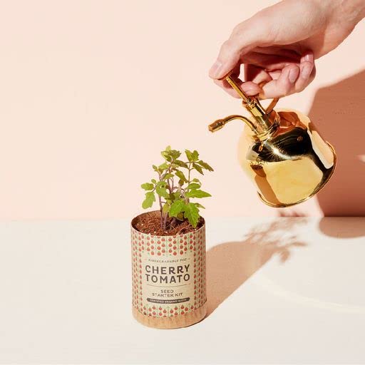 Modern Sprout product label displaying dimensions and 8 oz capacity for easy refill planning