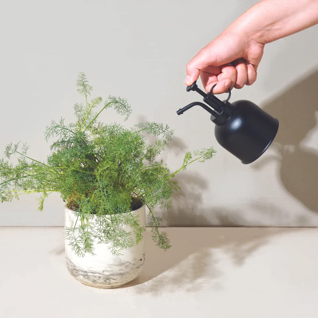 Modern Sprout mister on wooden shelf as decor and functional plant care tool