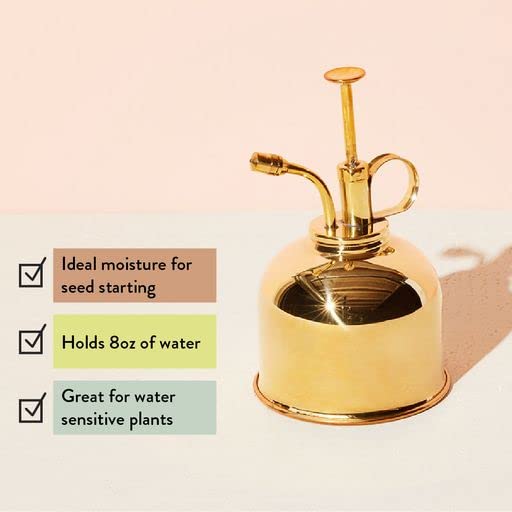 Modern Sprout mister next to a small pot showing scale and convenient storage benefit