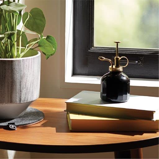 Modern Sprout product with dimensions and box indicating ready-to-gift convenience benefit