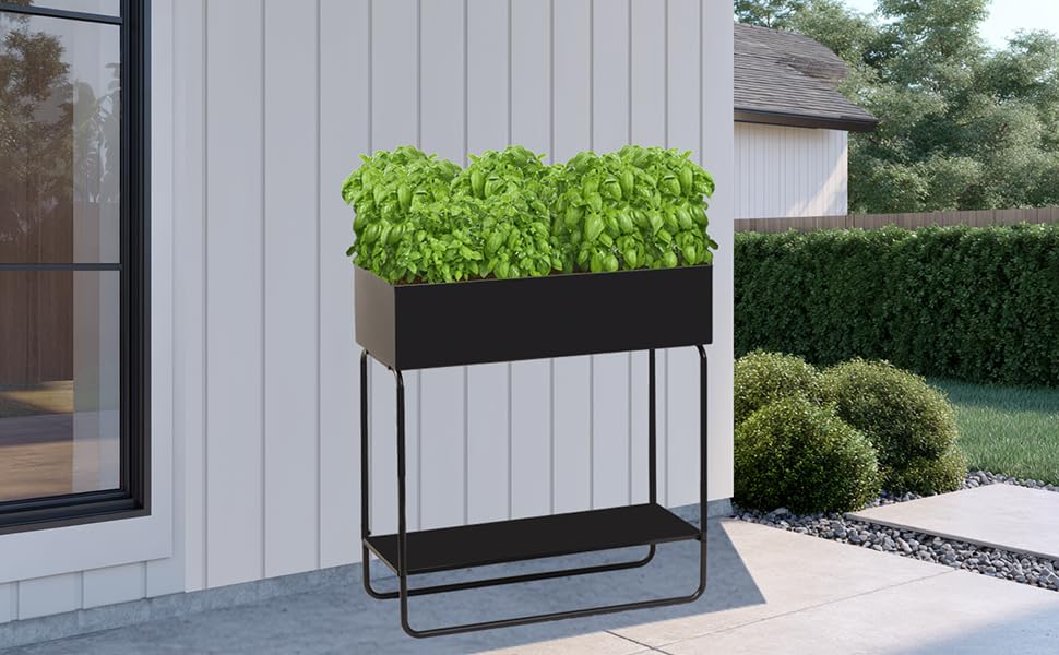 Mofesun on balcony with herbs showing stylish small-space gardening benefit