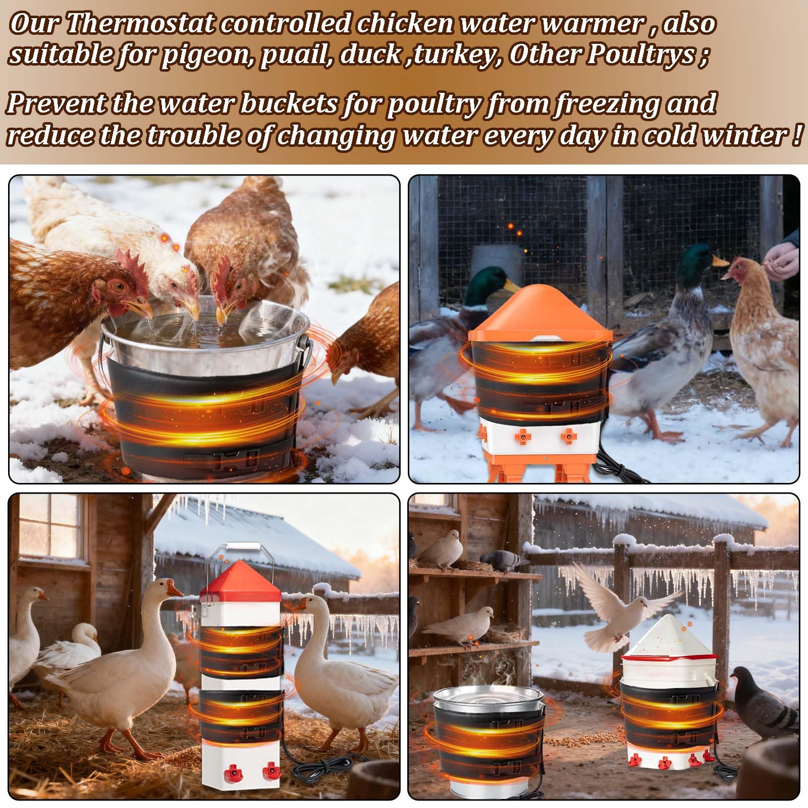 Mofuiry lifestyle shot of chickens drinking from warmed bucket showing flock comfort