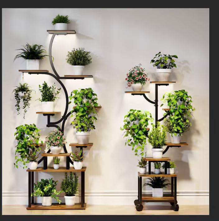 Mogaath lifestyle on balcony highlighting arranged plants and ambient lighting
