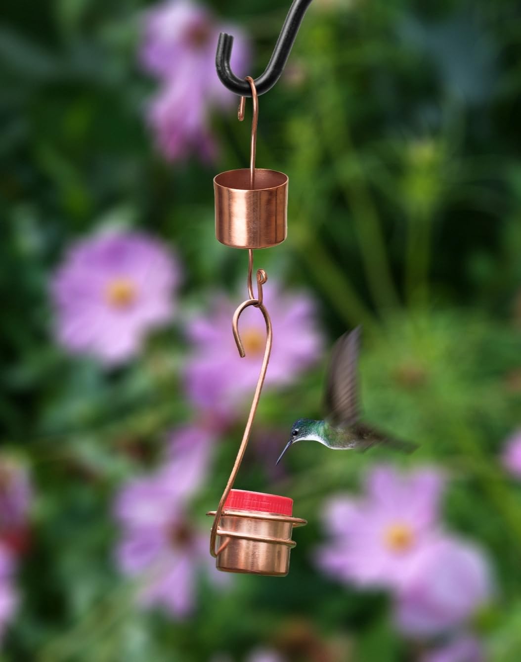 Monarch Abode feeder hanging on branch with hummingbird demonstrating attraction