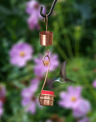 Monarch Abode feeder hanging on branch with hummingbird demonstrating attraction