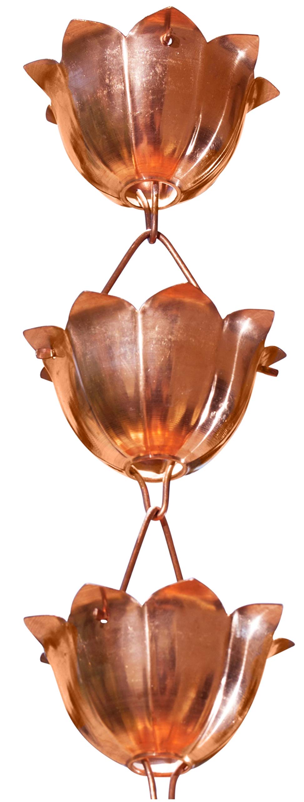 Monarch Rain Chains front view showing pure copper lotus cups and elegant profile enhancing curb appeal