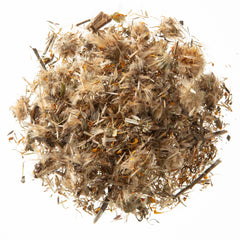 MONTEREY BAY HERB CO macro of golden arnica flower texture, shows quality and color